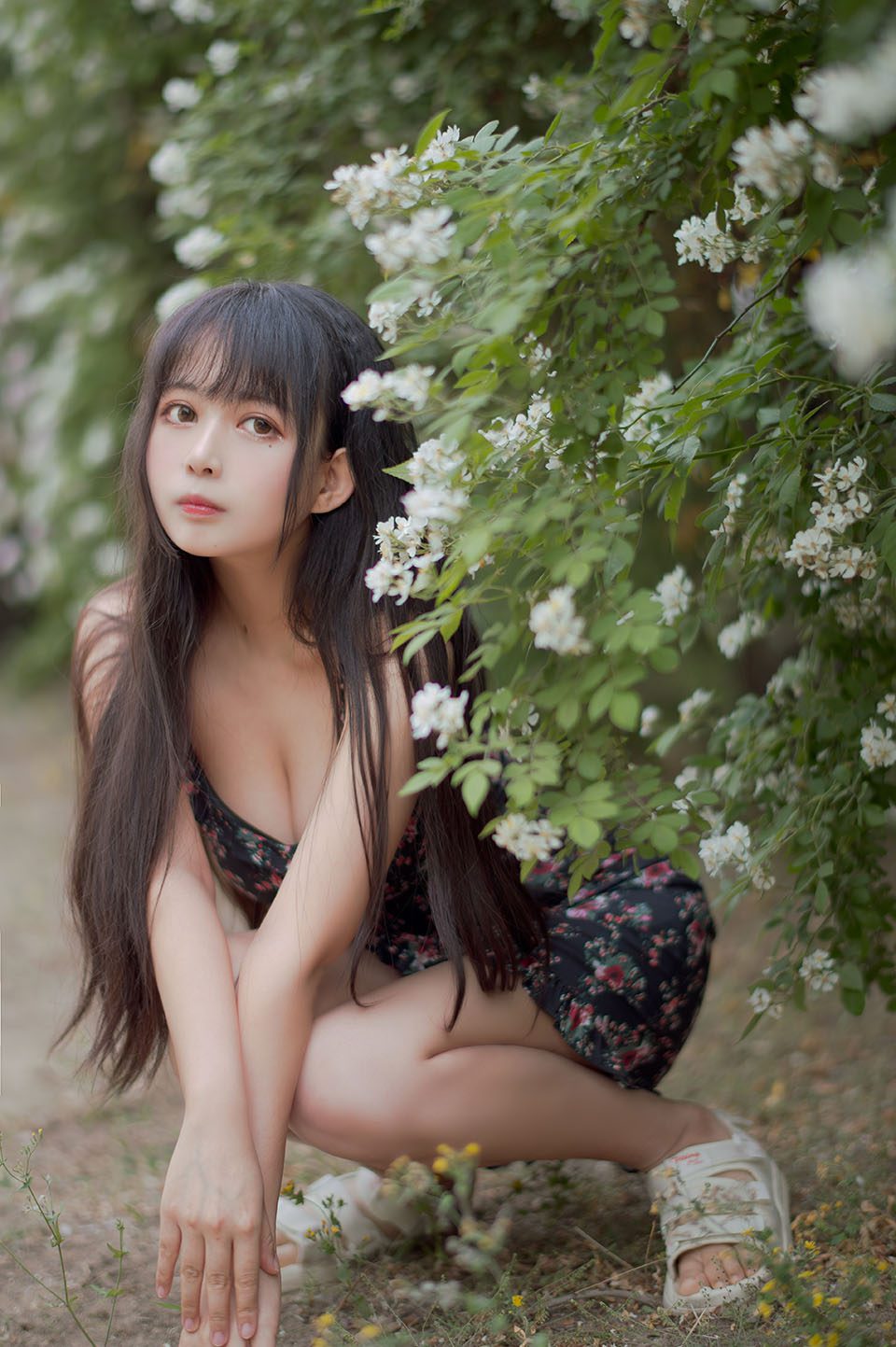 黑猫猫OvO 蔷薇 [22P]